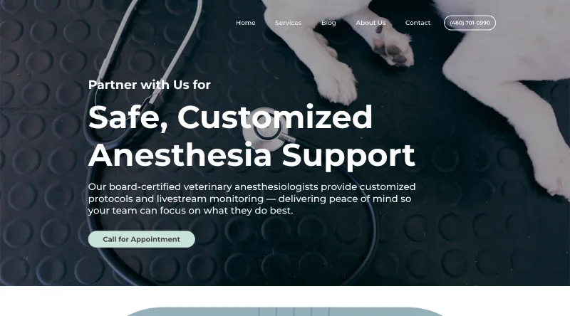 screenshot of Vet Dental Websites